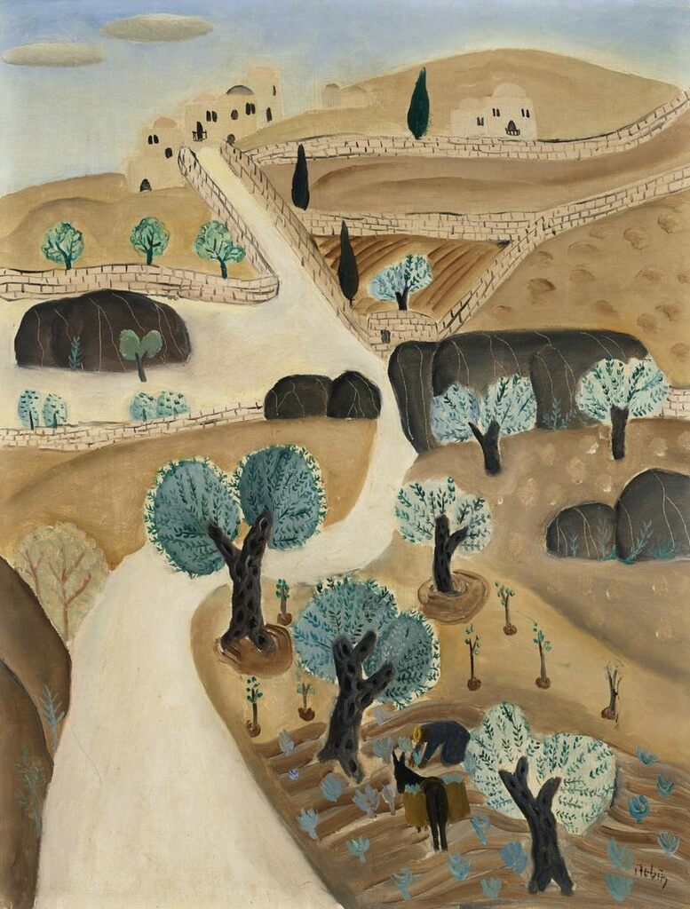 Olive Trees in the Galilee