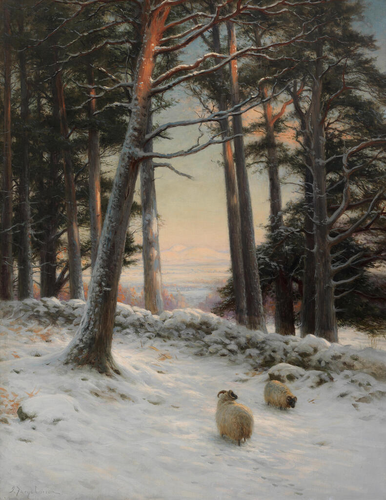 Winter: Sheep in a snowy woodland
