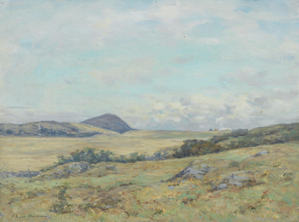 Summer, near Ballantrae