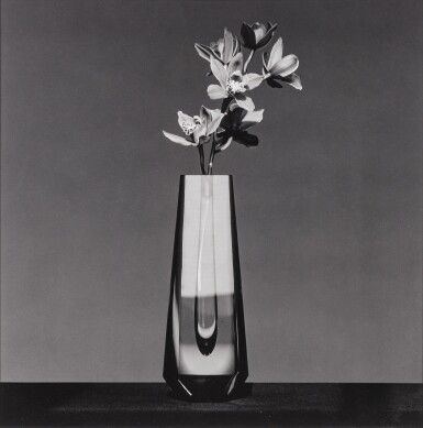 Orchid