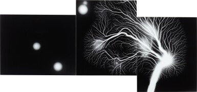 Lightning Fields Composed 24.00g