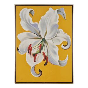 Lowell Nesbitt (1933-1993) White Lily on Gold 30 x 22 in. (76.2 x 55.8 cm.) (Painted in 1989.)