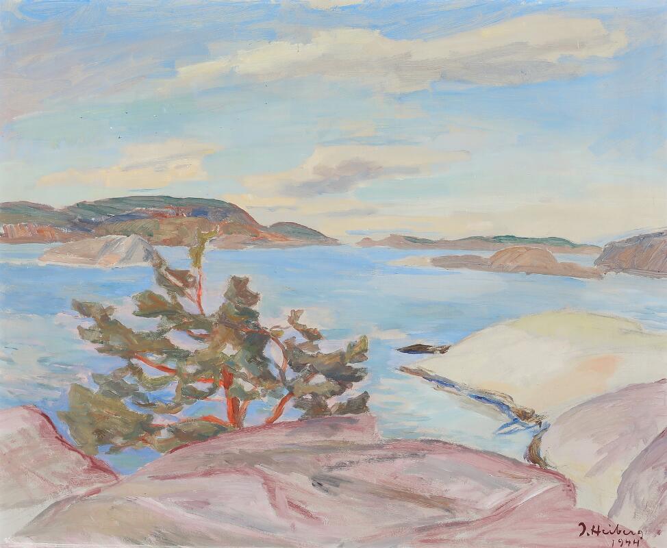 Landscape from a Norwedian fiord