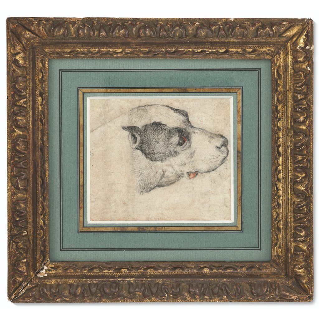 Study of two dogs' heads