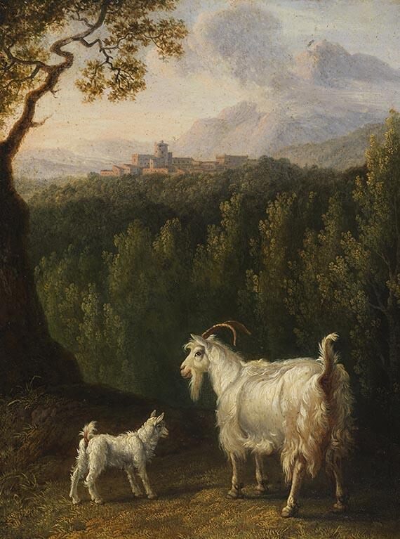 Ziege am Bachlauf / Ziege und Kitz in italienischer Landschaft