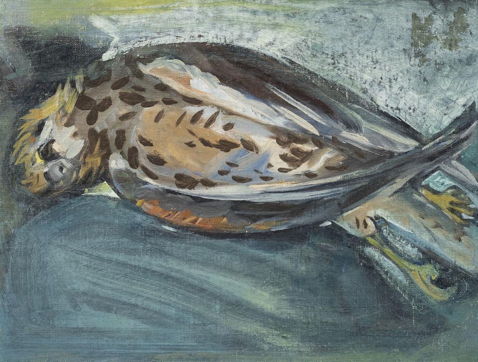 Bird