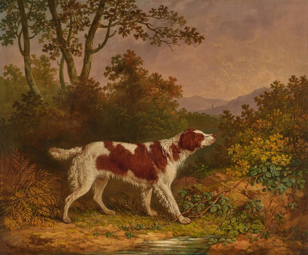 A Retriever