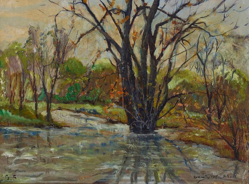 A View of the Bronx River (New York)