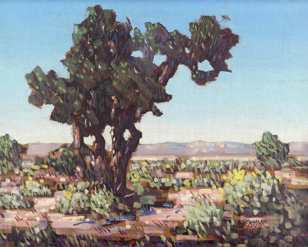 Juniper Tree