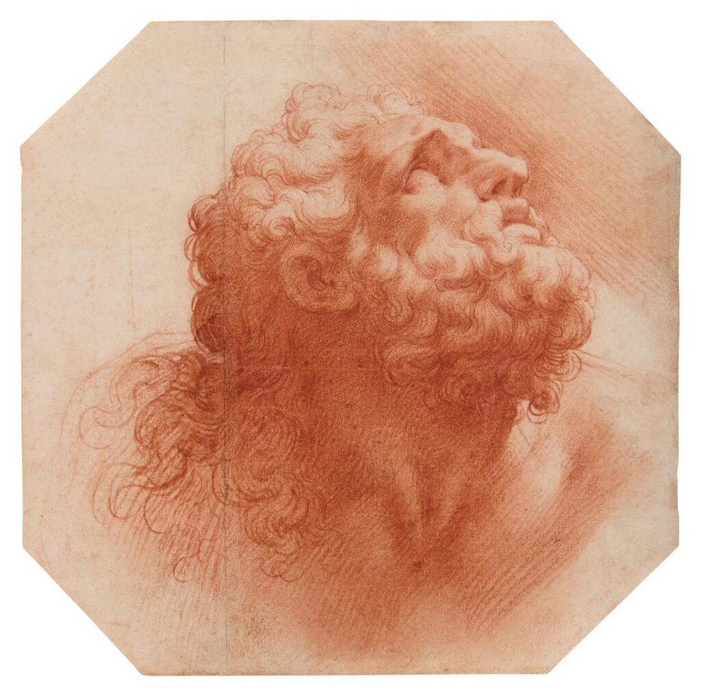 Head of a man, after the Laocoön
