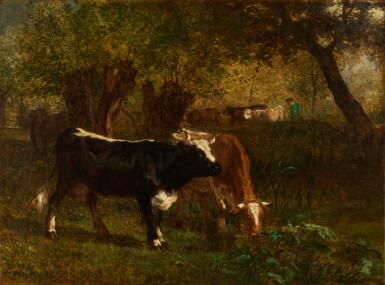 Vaches à l'abreuvoir