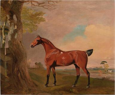 The Prince of Wale’s Hack, Tiger, In a Landscape