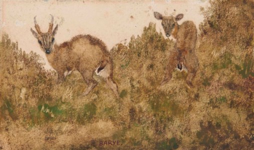 Deux cervidés dans un paysage