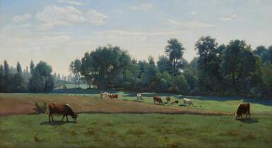 Marcoussis - les vaches au pâturage
