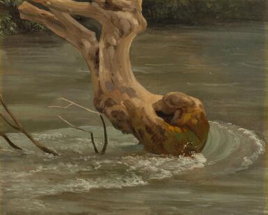 A Tree Trunk caught in the Waters at Tivoli