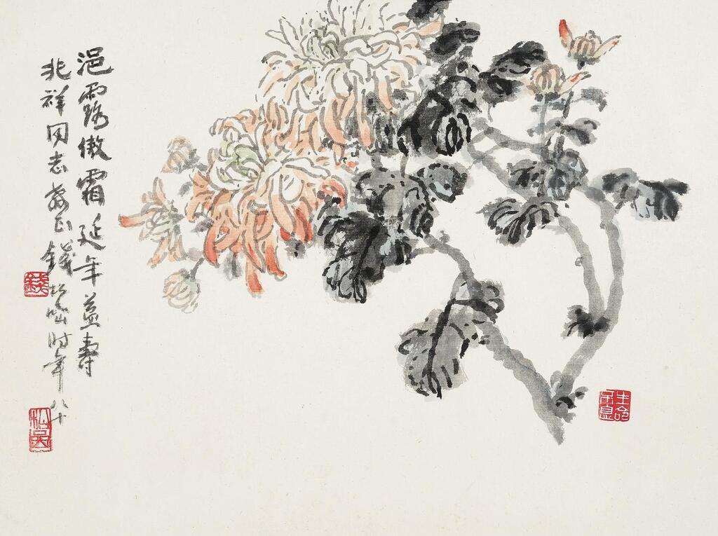 Chrysanthemum