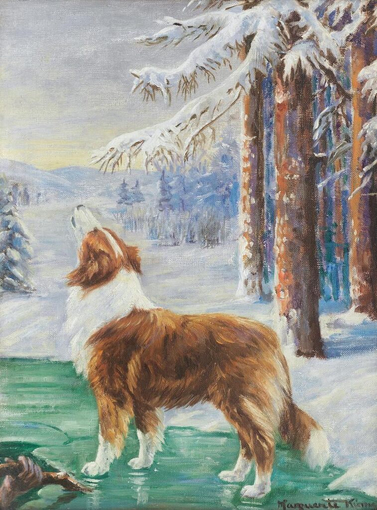 The Rough Collie, 'Lad', on a Frozen Pond
