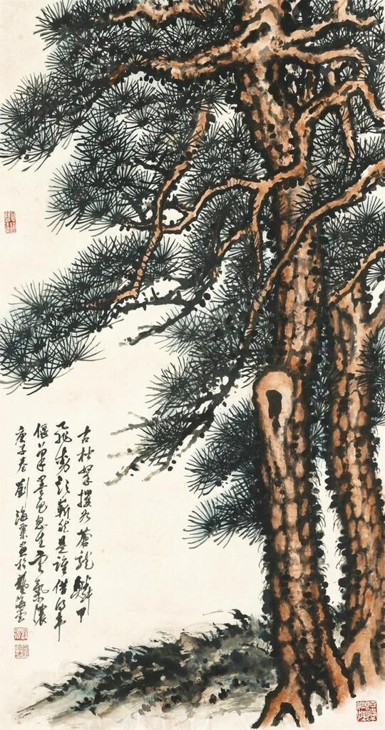 Old Pine