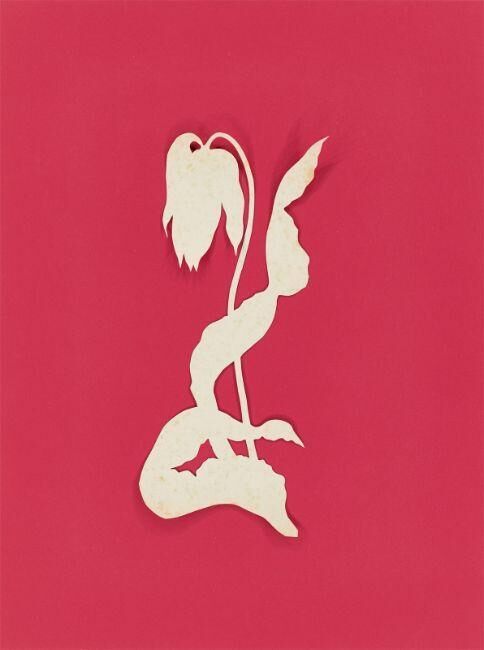 ”Tulpe”