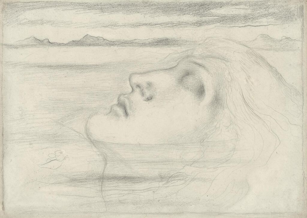 Head study