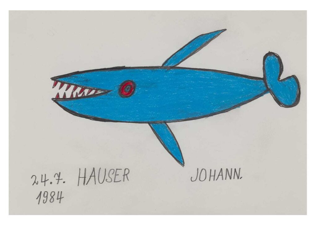 Blue Shark