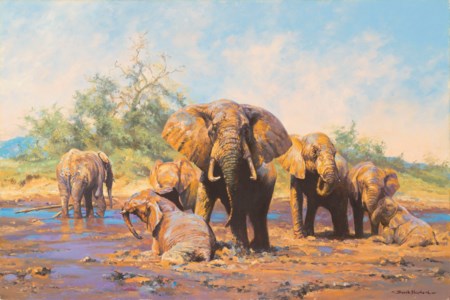 The mud bath
