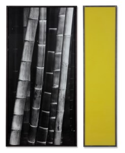 Bambus (Bamboo)