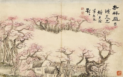 The Apricot Groves