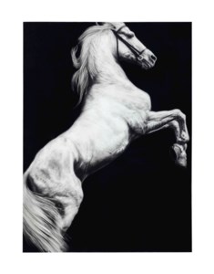 Study - May, 1980 (White Horse)