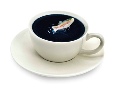 Untitled (cup and saucer)