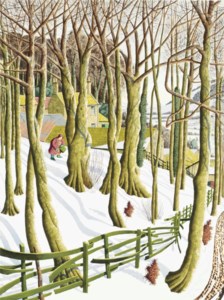 Planting Snowdrops