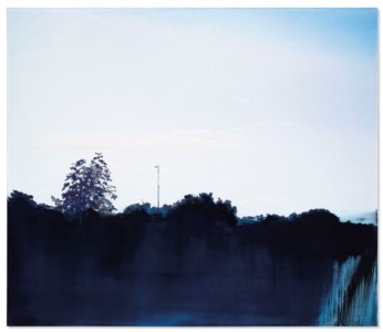 Fallen Landscape