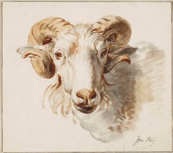 The head of a ram; and The head of a sheep (pl. 5)
