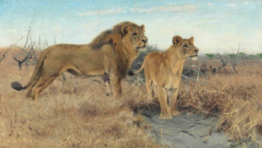 Lions on the plains of Africa