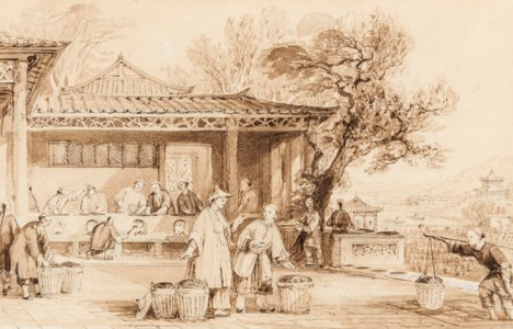 The Culture and Preparation of Tea; and Whampoa, from Dane's Island