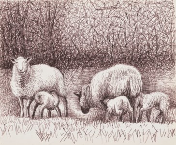 Sheep with Lambs at the Edge of a Wood