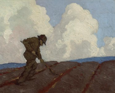 Digging Potatoes, Achill Island, Co. Mayo