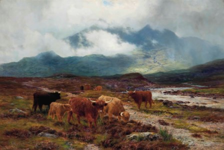Highland cattle by a mountain stream