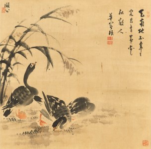 Wild Geese