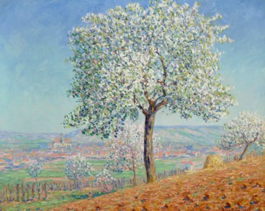 Les arbres en fleurs à Villeneuve-sur-Yonne