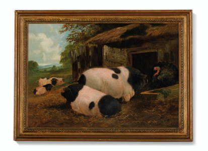 Pigs and Turkey
