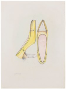 Zwitterschuh (Hermaphrodite Shoe)