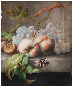 A Still Life with peaches, grapes, a butterfly and a snail