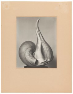 Two Shells, 13S, 1927