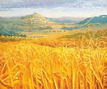 Provence - Among the wheat fields of Bonnieux, Autumn
