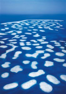 Dubai World I