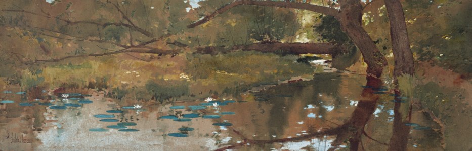 Landscape with Woodland Pool