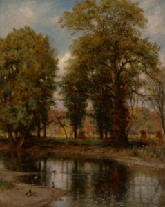 Landscape along a River