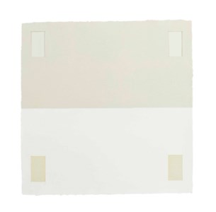 Equator White