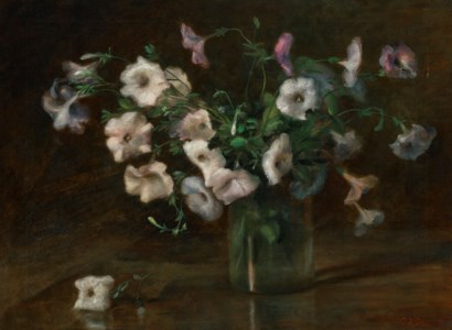 Petunias